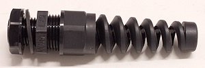 C02004601.jpg
