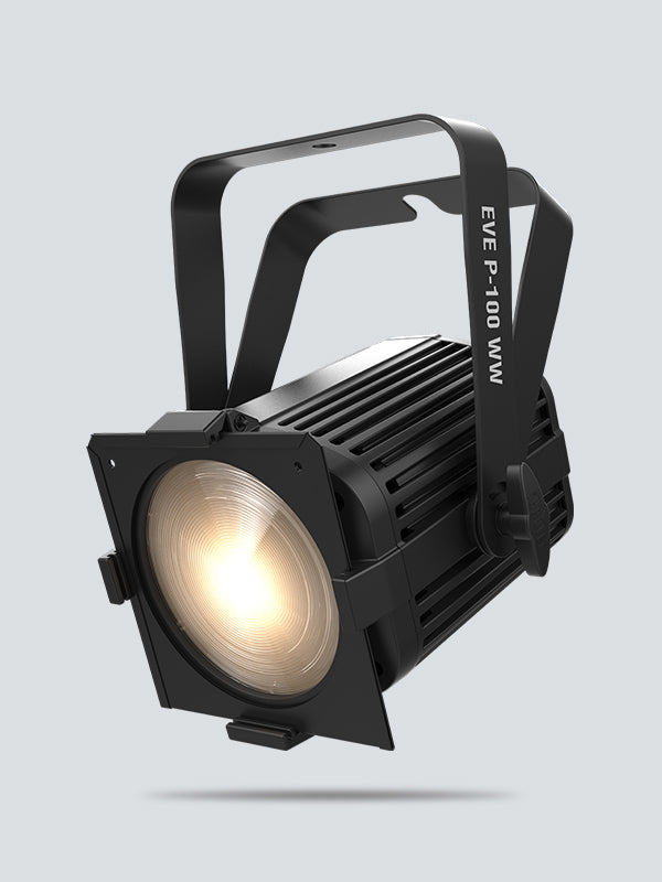 EVE P-100 WW - product view 4