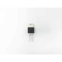 P170TRIBTA16.jpg