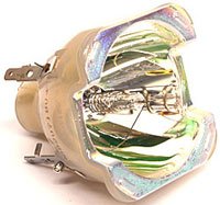 ZB-MSD-PLATINUM-16R.jpg