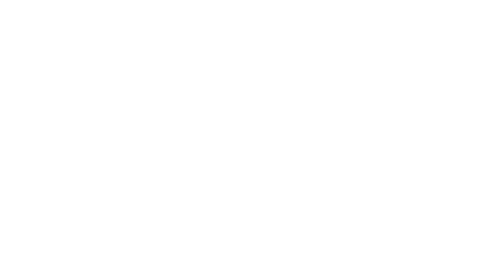 ChauvetDJ ILS (Instant Light Show)