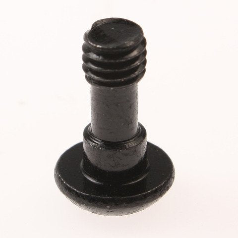08090709_large.jpg