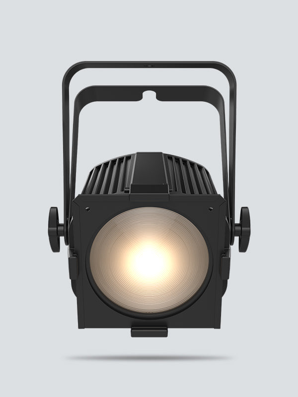 EVE P-100 WW detailed product view