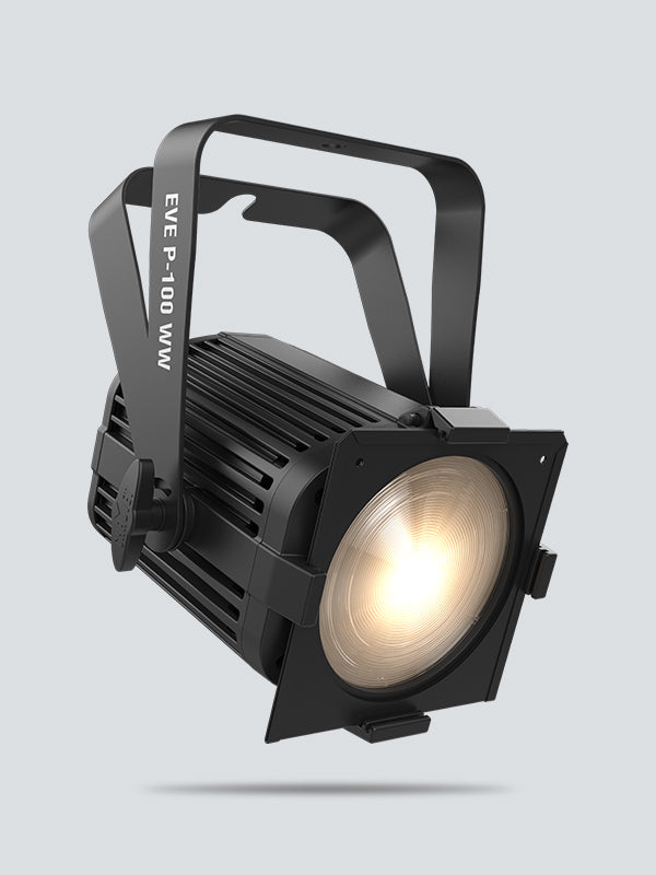 EVE P-100 WW - product view 2